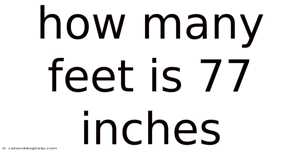 How Many Feet Is 77 Inches