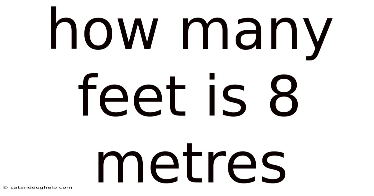 How Many Feet Is 8 Metres