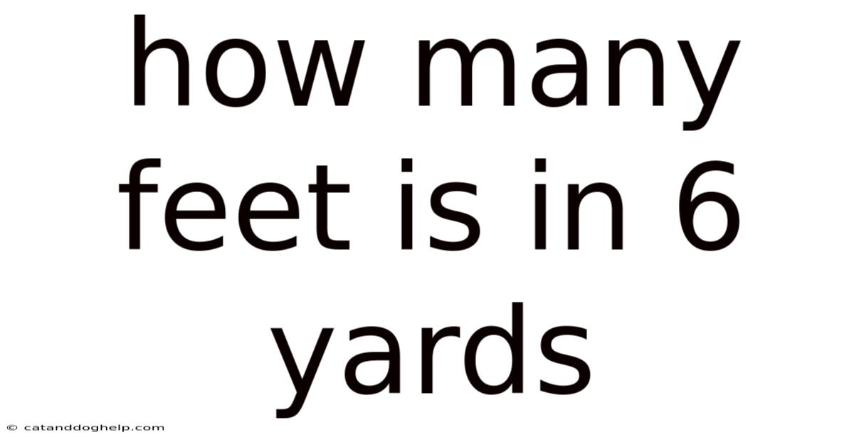 How Many Feet Is In 6 Yards