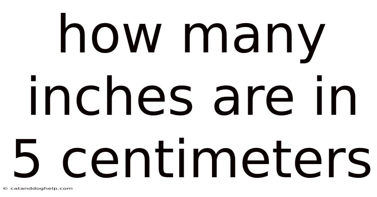 How Many Inches Are In 5 Centimeters