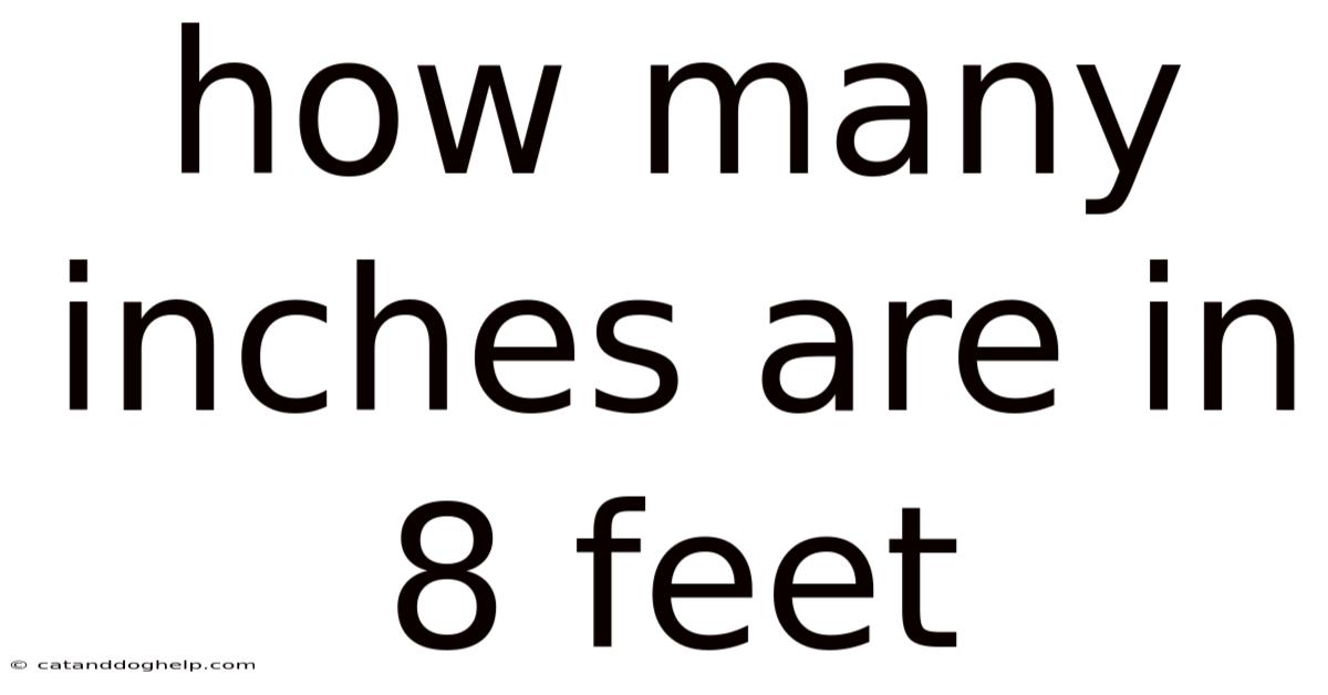 How Many Inches Are In 8 Feet