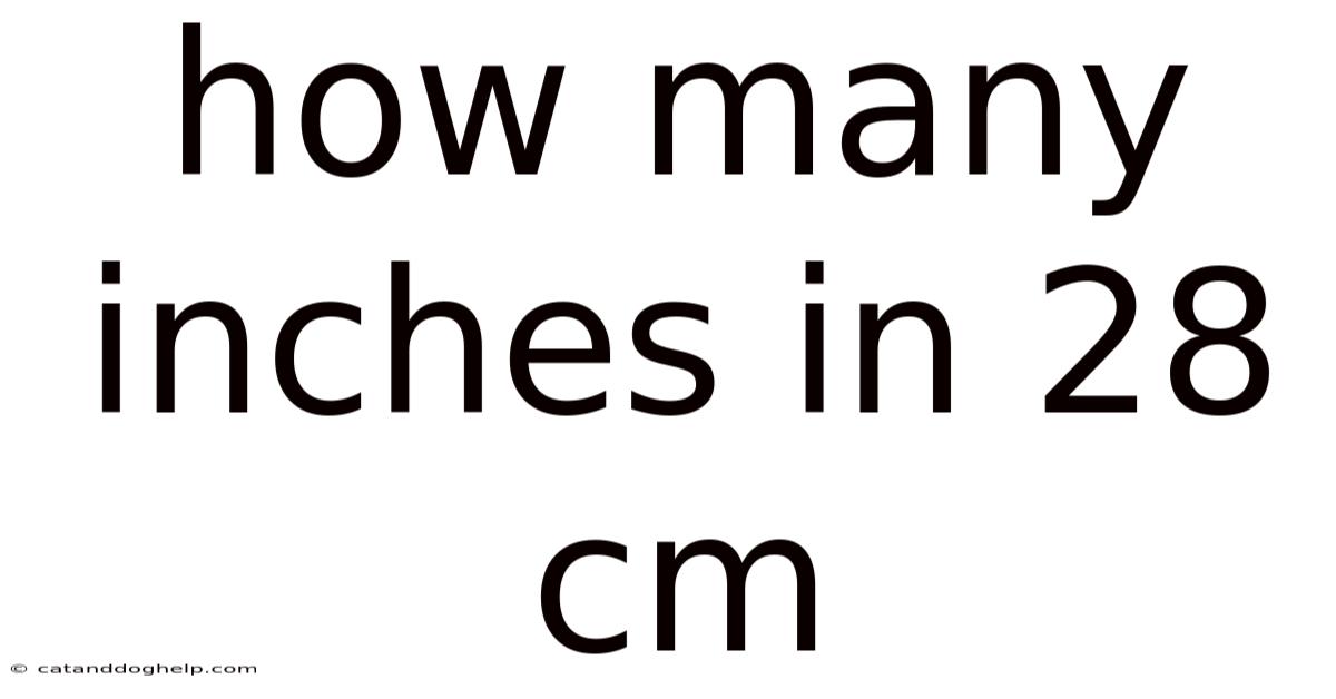 How Many Inches In 28 Cm