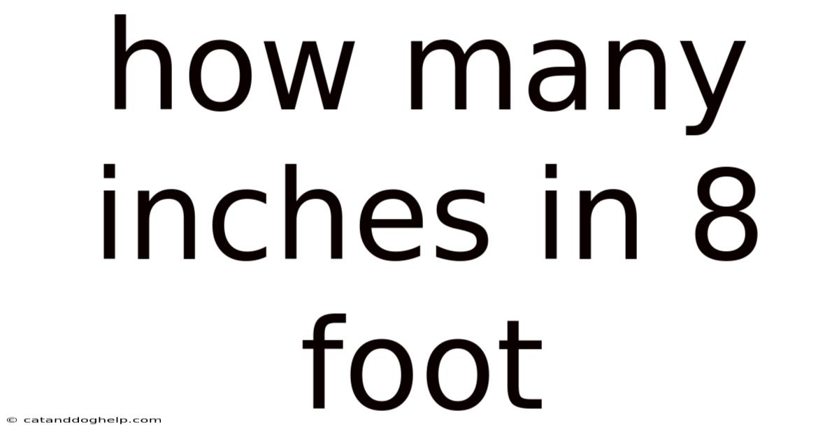 How Many Inches In 8 Foot