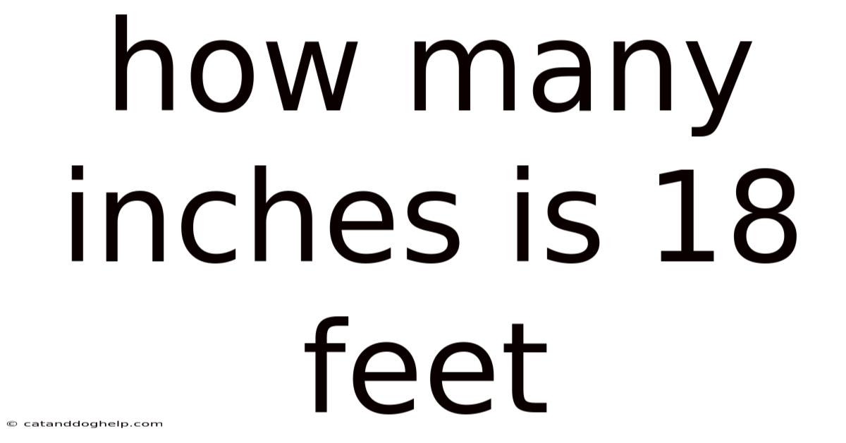 How Many Inches Is 18 Feet
