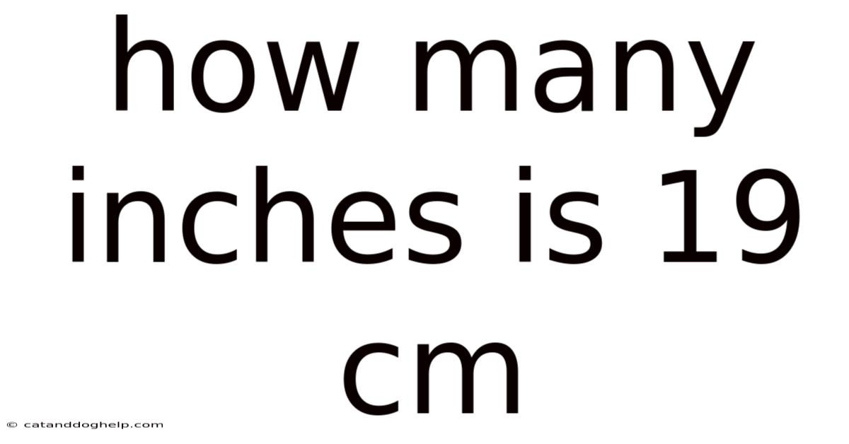 How Many Inches Is 19 Cm