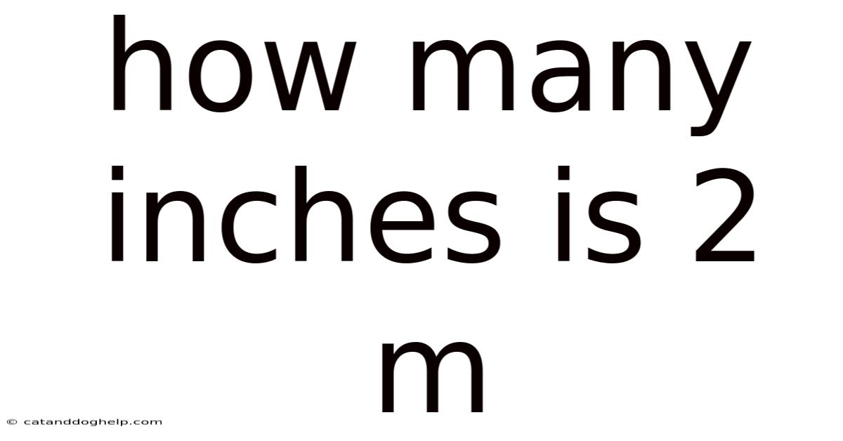 How Many Inches Is 2 M