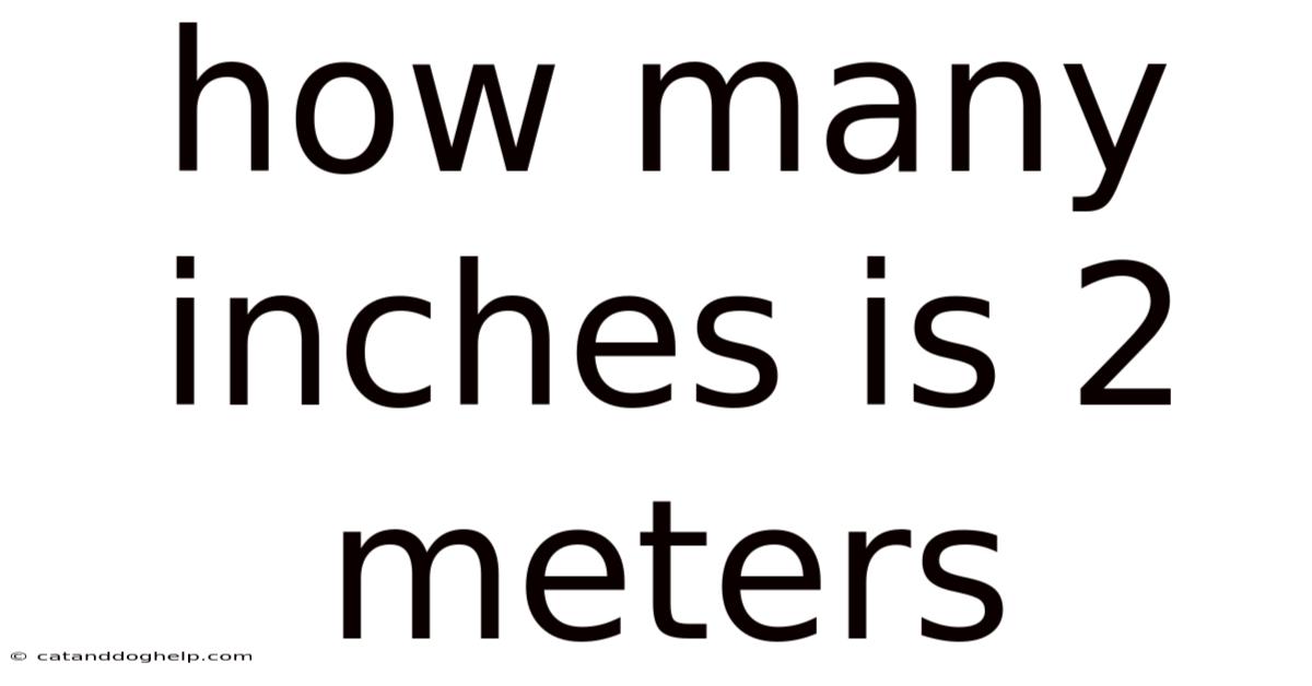How Many Inches Is 2 Meters