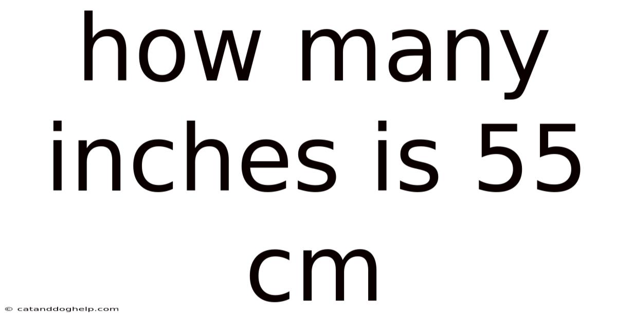 How Many Inches Is 55 Cm