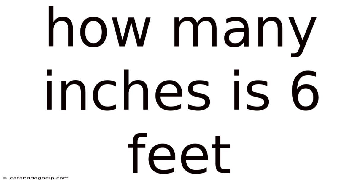 How Many Inches Is 6 Feet