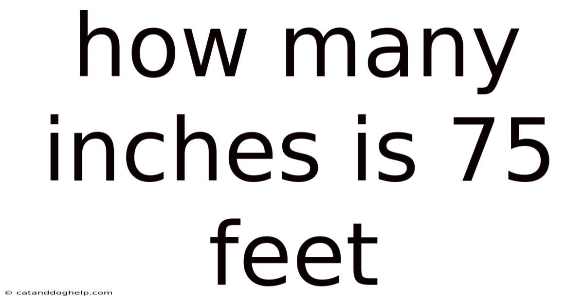 How Many Inches Is 75 Feet