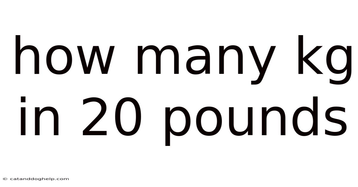 How Many Kg In 20 Pounds