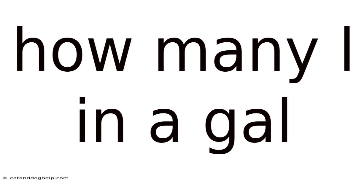 How Many L In A Gal