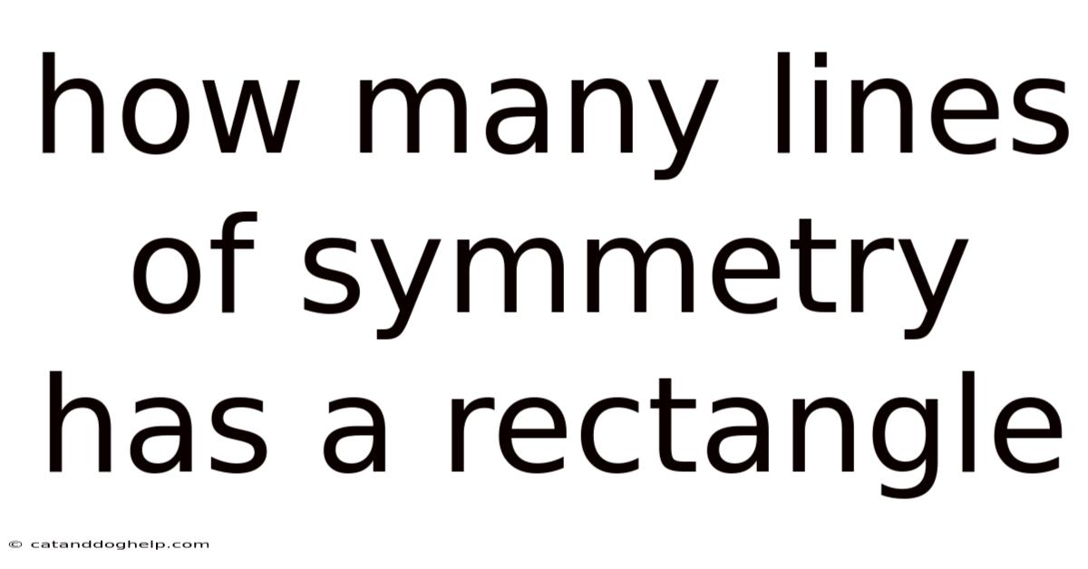 How Many Lines Of Symmetry Has A Rectangle