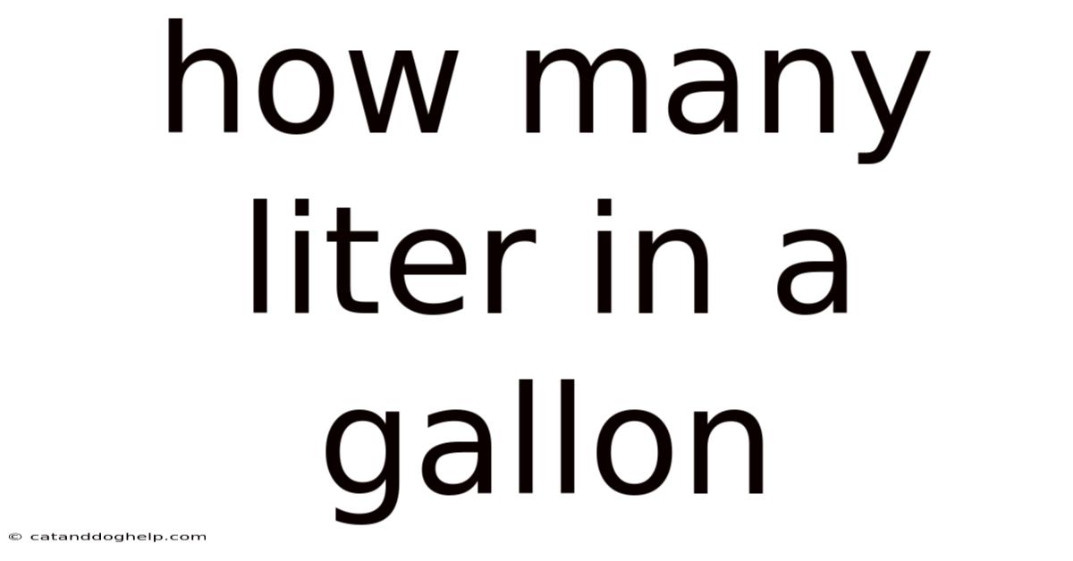 How Many Liter In A Gallon