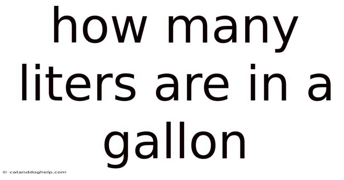 How Many Liters Are In A Gallon