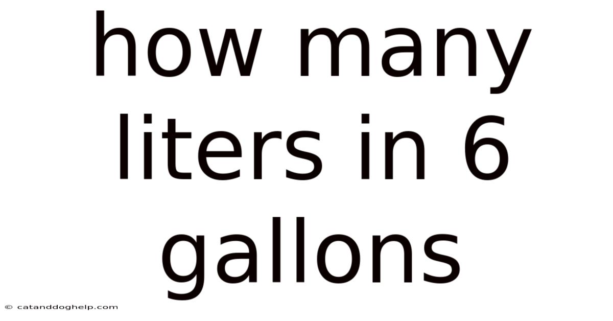 How Many Liters In 6 Gallons