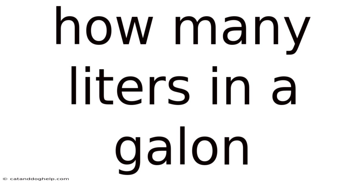 How Many Liters In A Galon