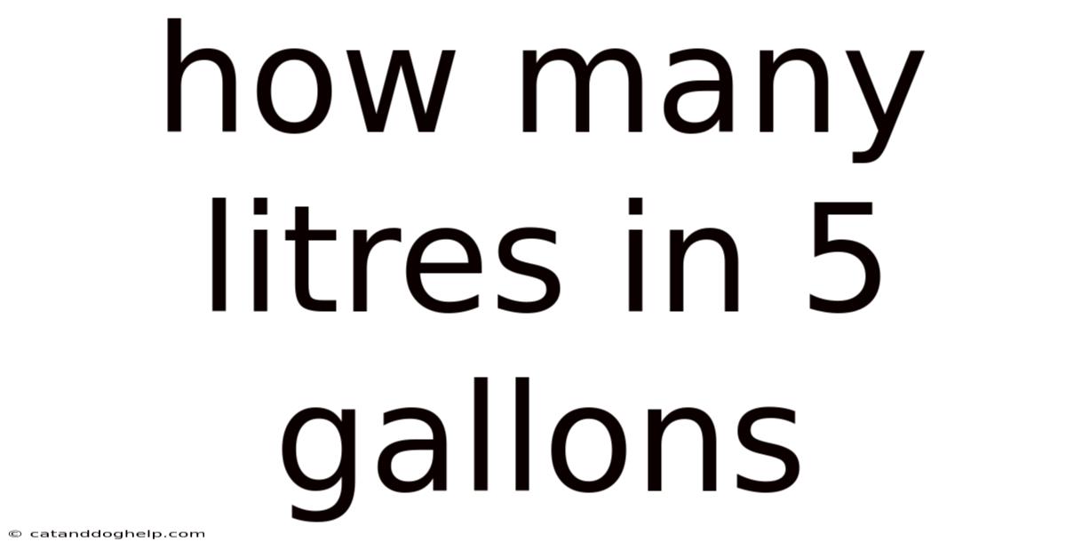 How Many Litres In 5 Gallons