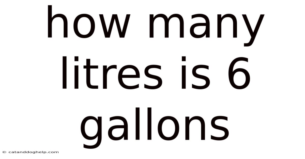 How Many Litres Is 6 Gallons