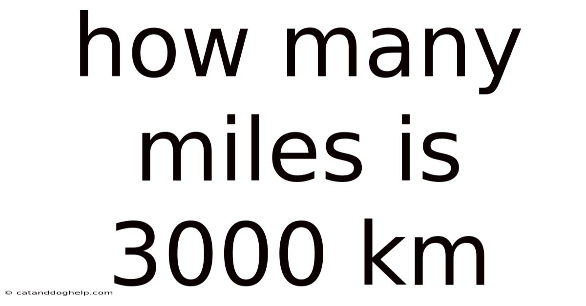 How Many Miles Is 3000 Km