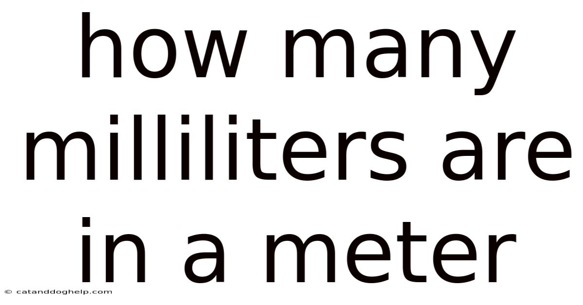 How Many Milliliters Are In A Meter