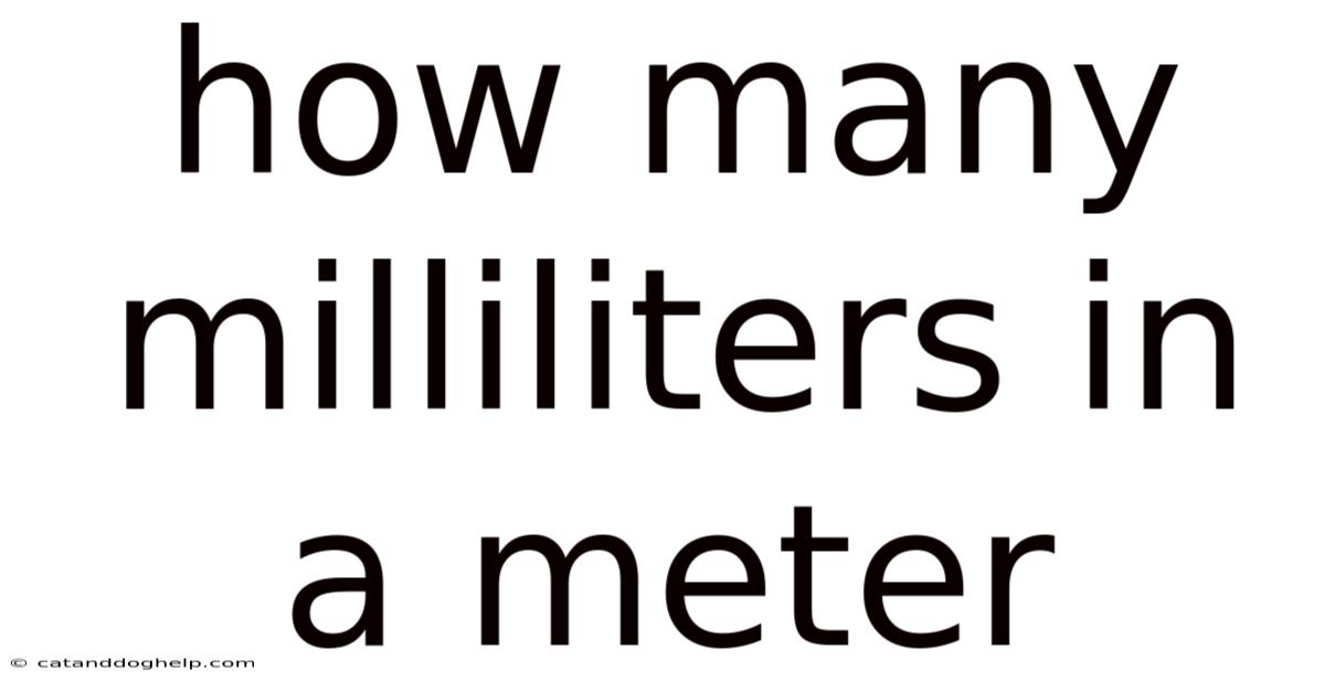 How Many Milliliters In A Meter