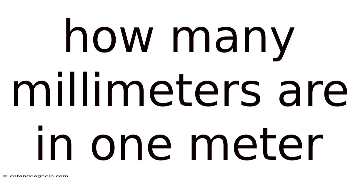 How Many Millimeters Are In One Meter