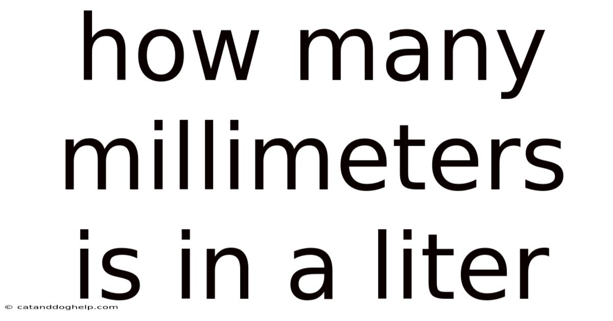 How Many Millimeters Is In A Liter
