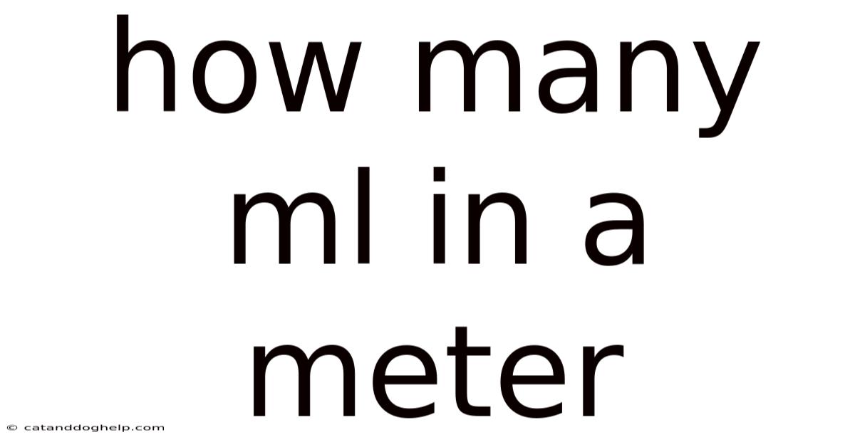 How Many Ml In A Meter