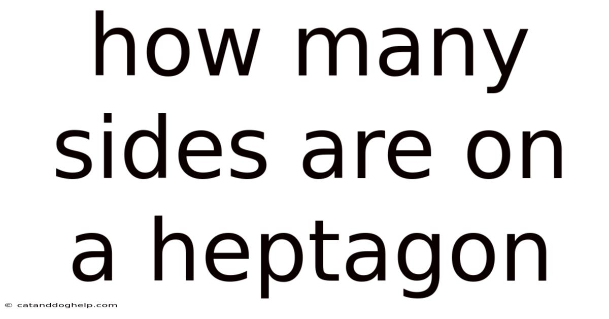 How Many Sides Are On A Heptagon