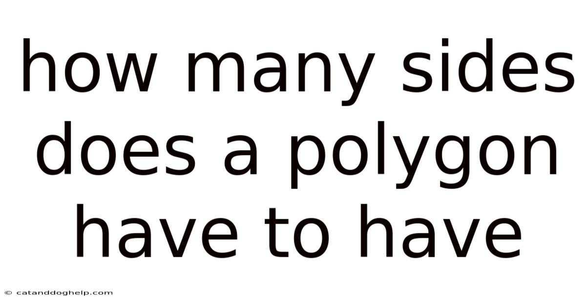 How Many Sides Does A Polygon Have To Have