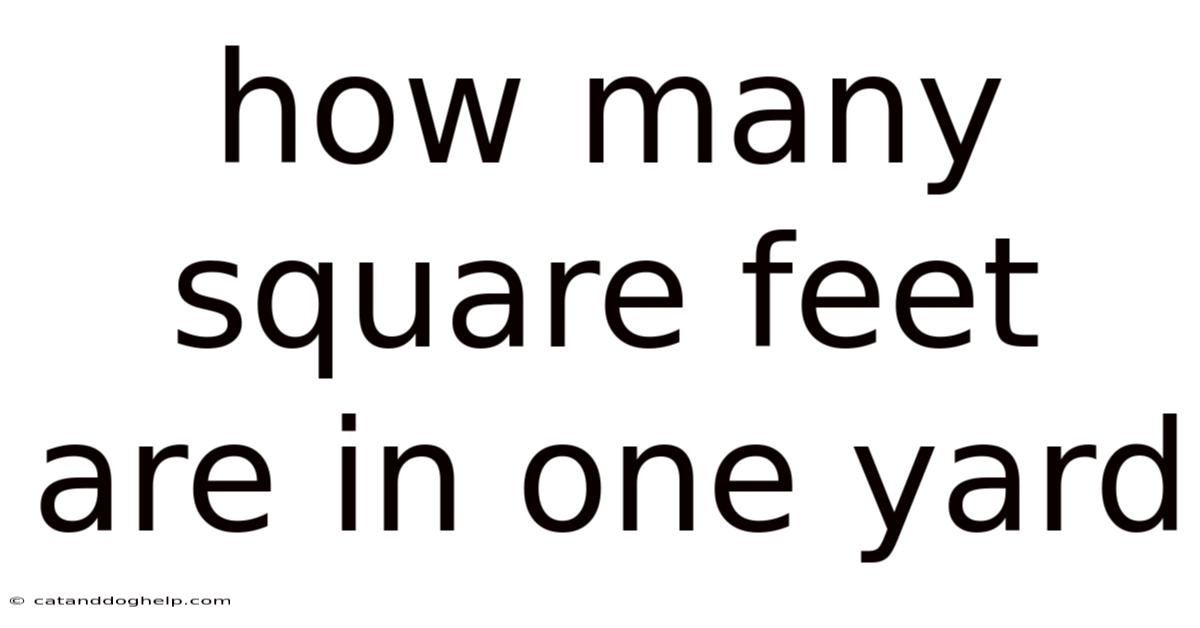 How Many Square Feet Are In One Yard
