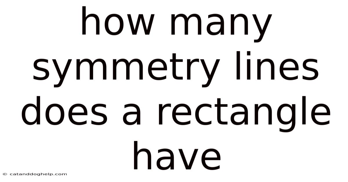 How Many Symmetry Lines Does A Rectangle Have