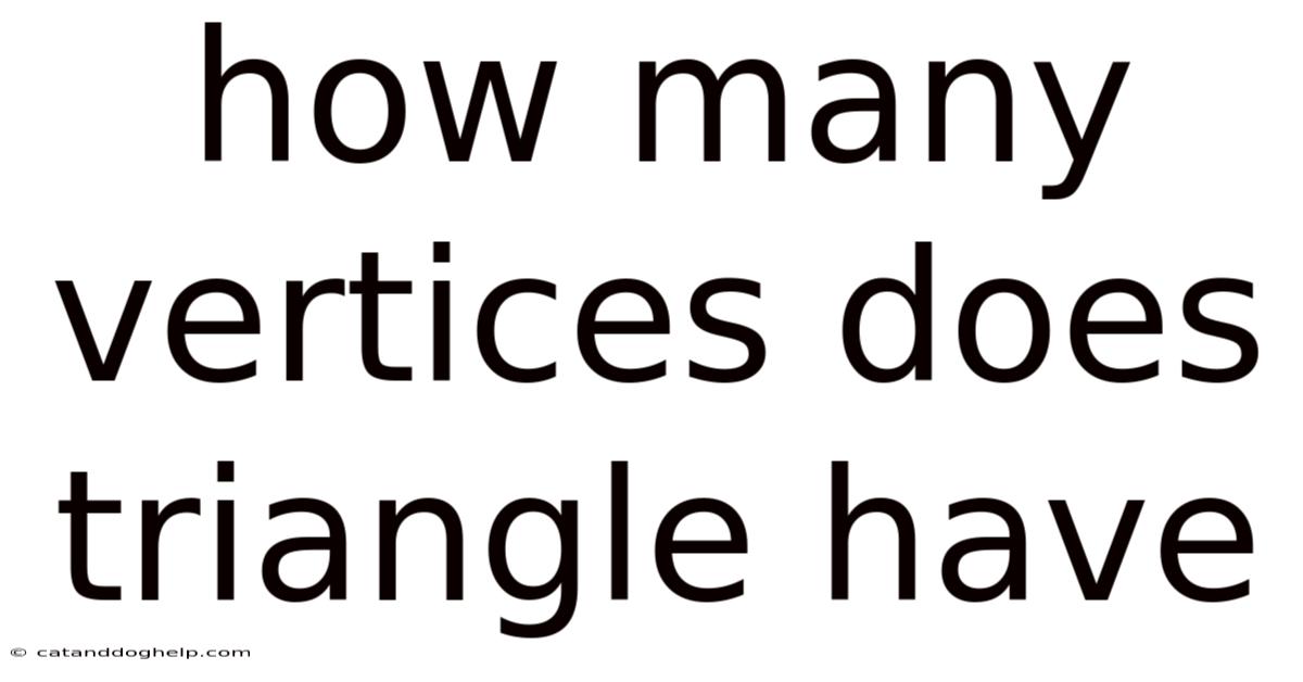 How Many Vertices Does Triangle Have