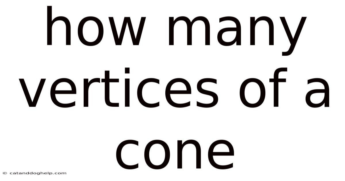 How Many Vertices Of A Cone