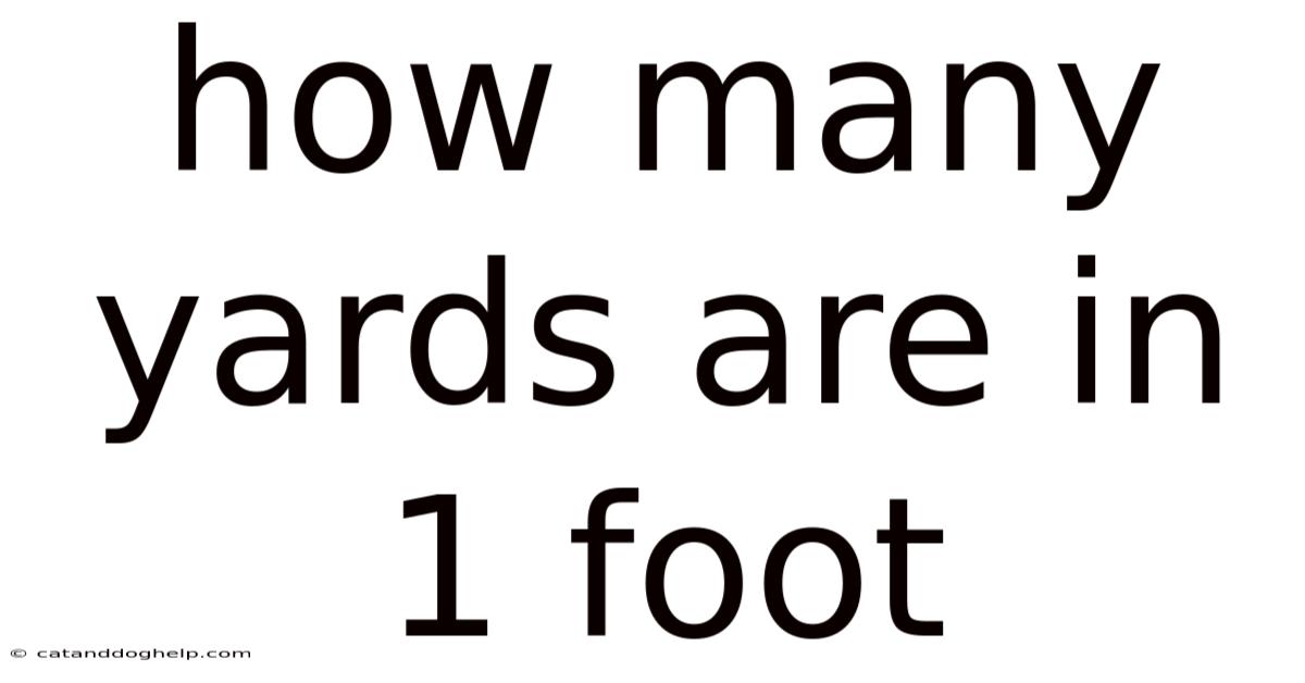 How Many Yards Are In 1 Foot
