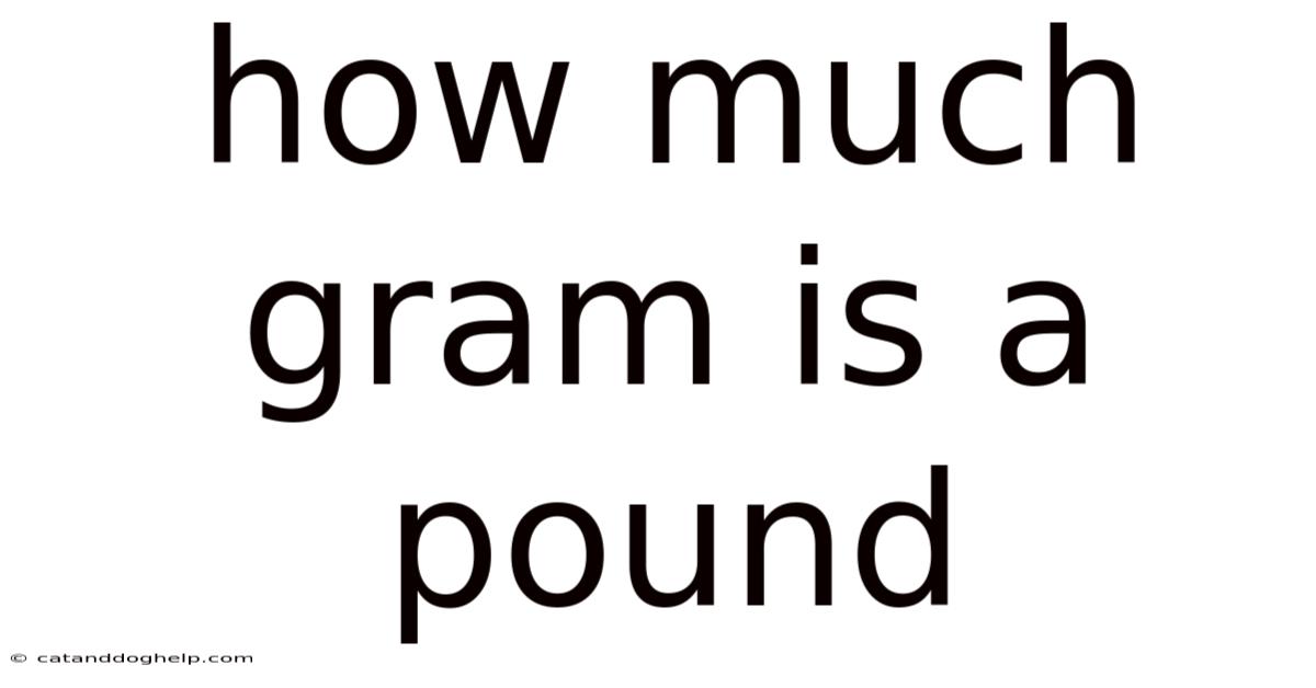 How Much Gram Is A Pound