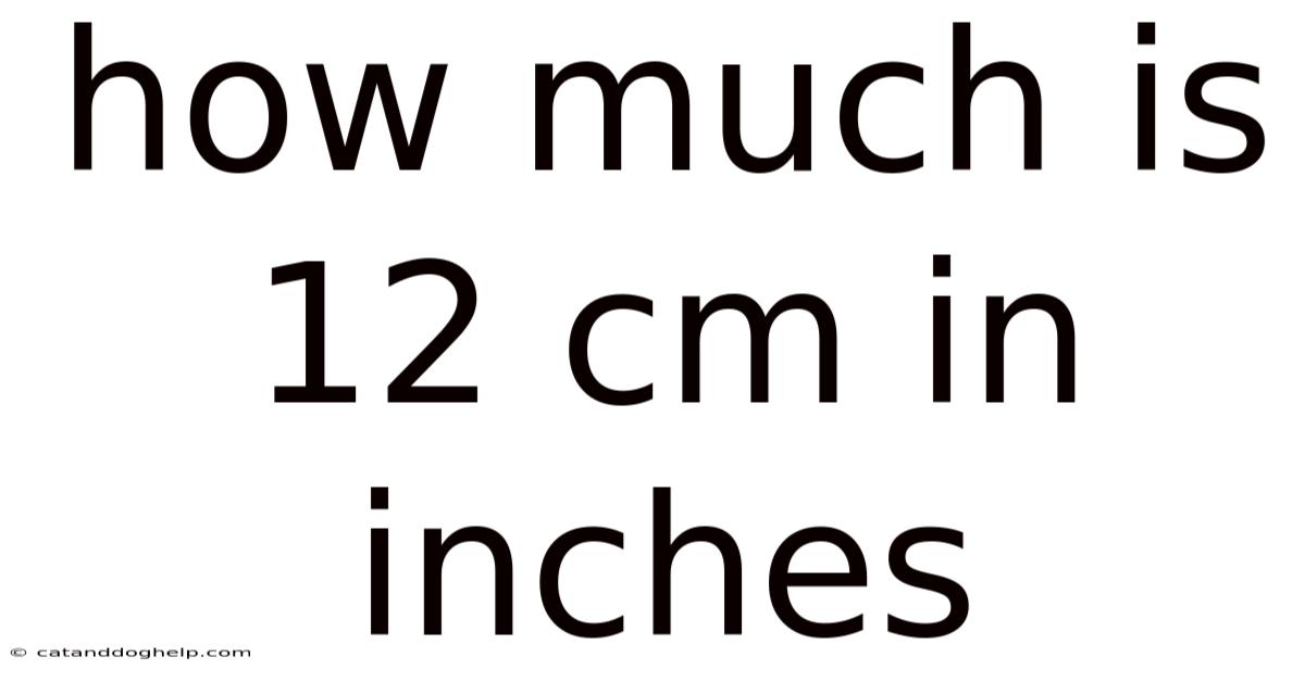 How Much Is 12 Cm In Inches