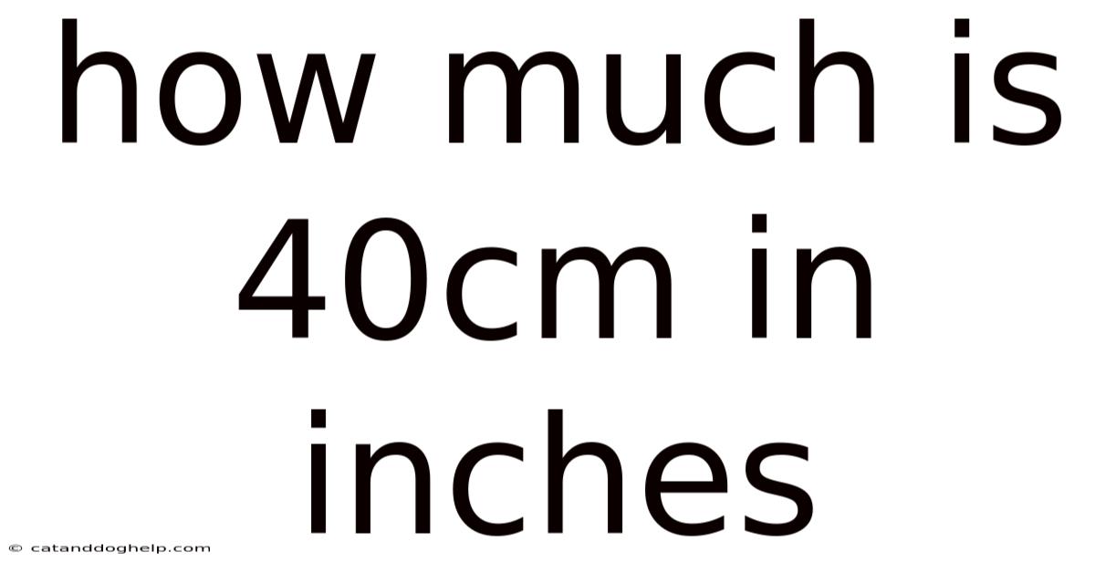 How Much Is 40cm In Inches
