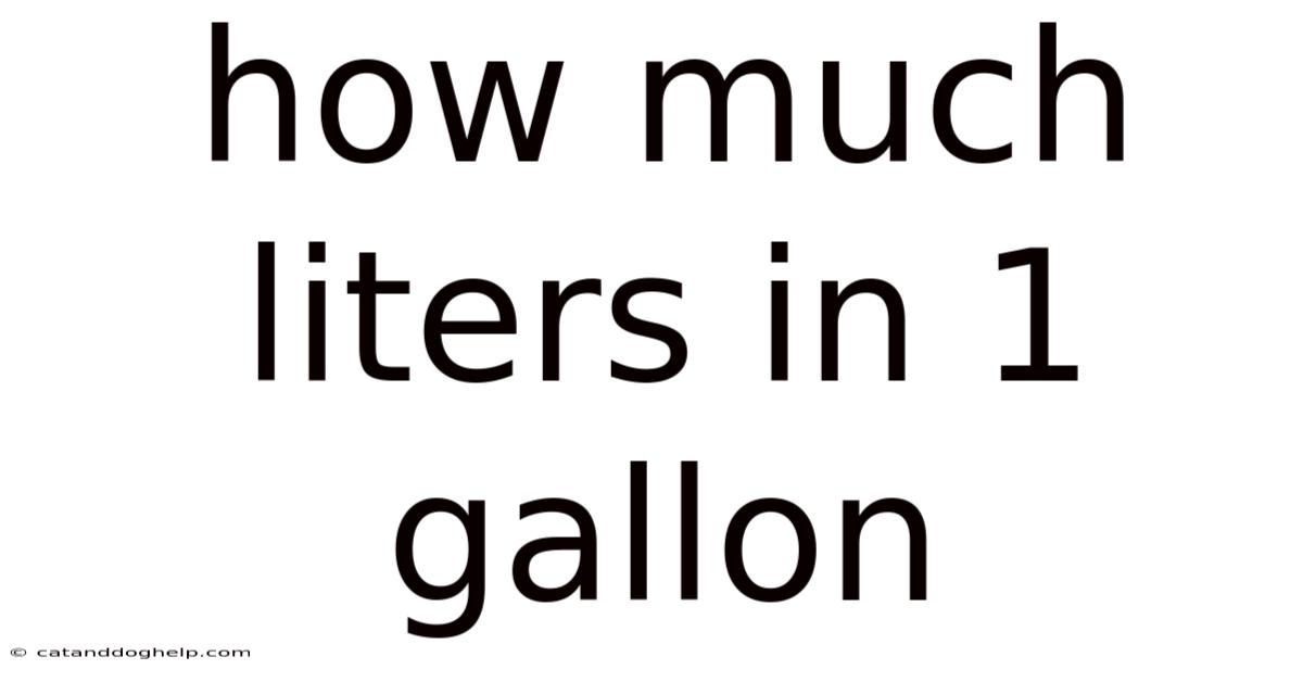 How Much Liters In 1 Gallon