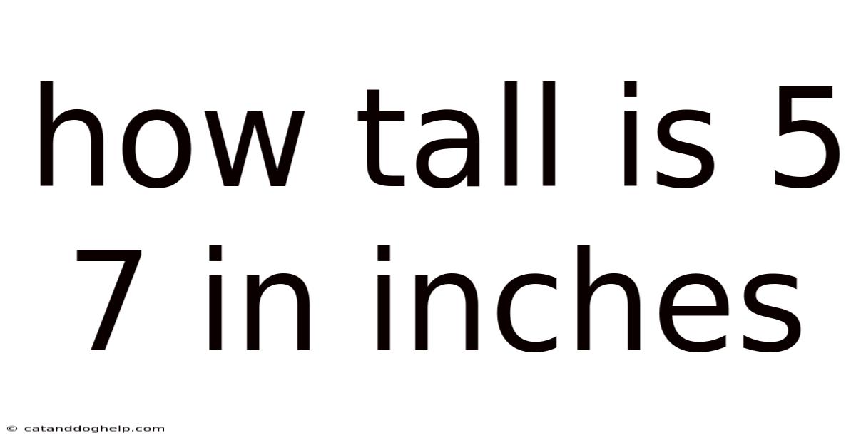 How Tall Is 5 7 In Inches