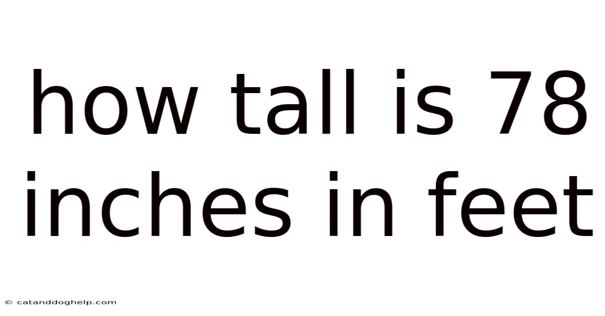 How Tall Is 78 Inches In Feet