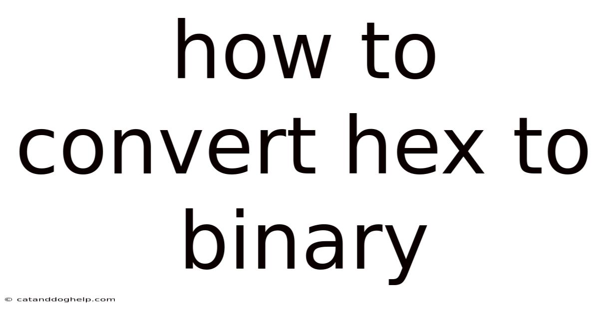 How To Convert Hex To Binary