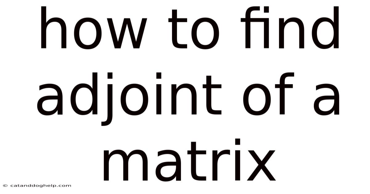 How To Find Adjoint Of A Matrix