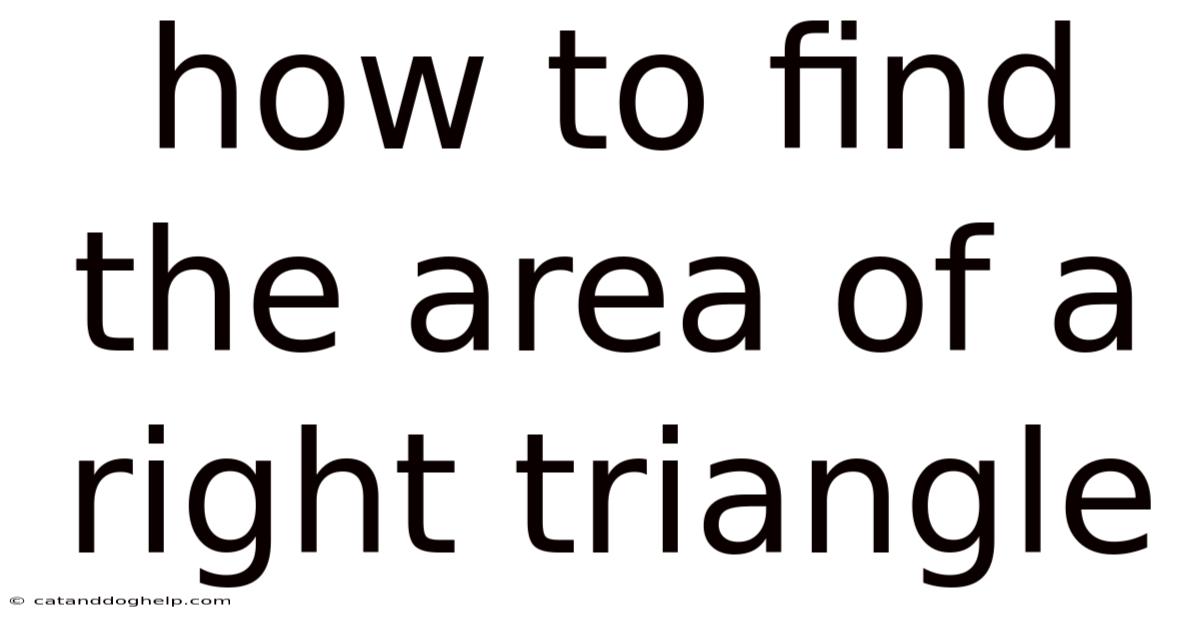 How To Find The Area Of A Right Triangle