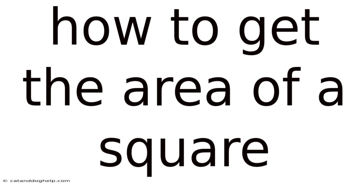 How To Get The Area Of A Square