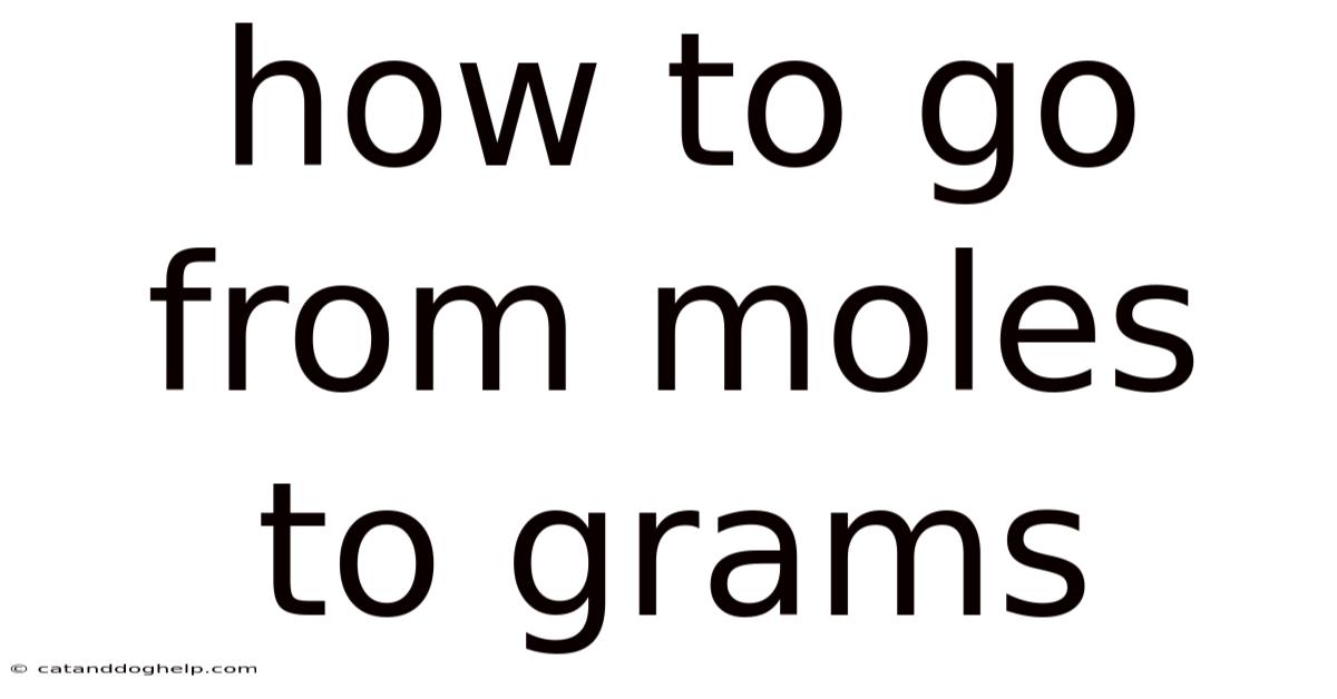 How To Go From Moles To Grams