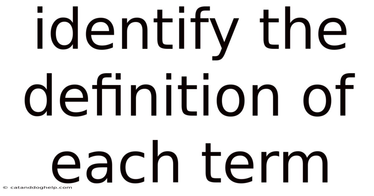 Identify The Definition Of Each Term