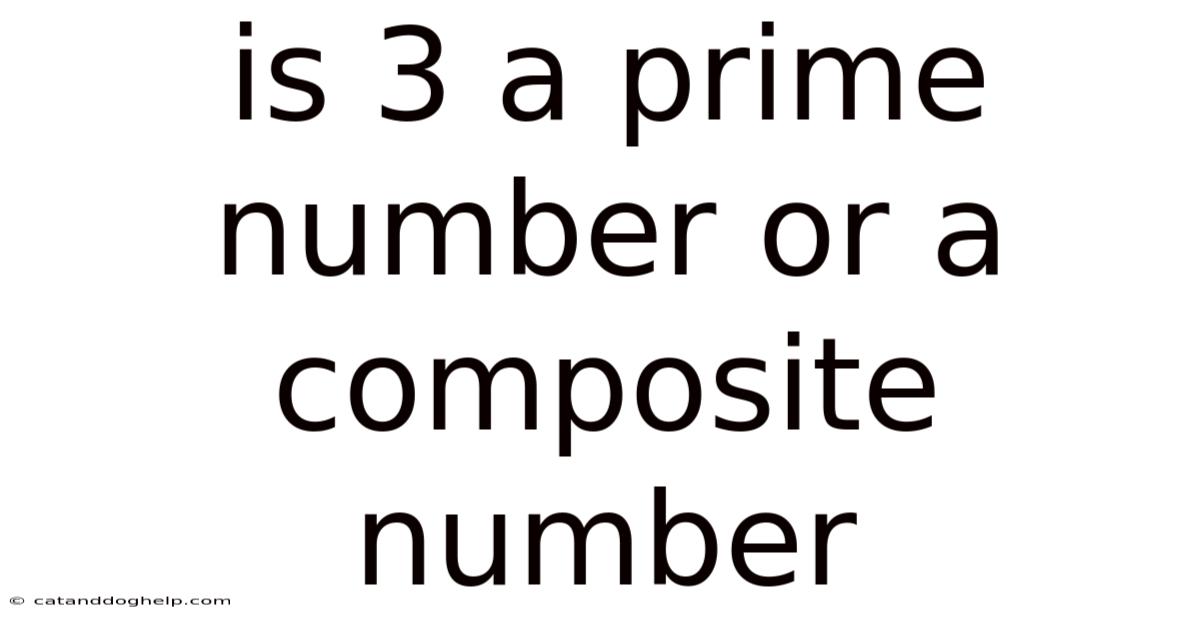 Is 3 A Prime Number Or A Composite Number