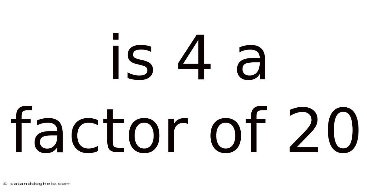 Is 4 A Factor Of 20